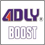 Adly ATV 300 Boost - Bj. 2007