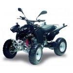 Adly ATV 50 RS (XXL) - Bj. 2005