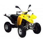 Adly ATV 50 RS (XXL) - Bj. 2008 - 2010