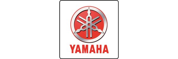 Yamaha YFM 550 Grizzly _ Bj. 2009_2016