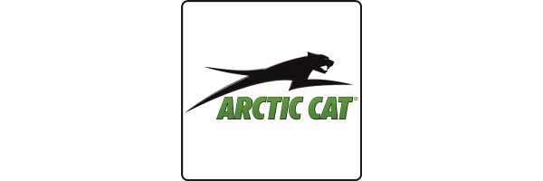 Arctic Cat Cat 650 FIS V2