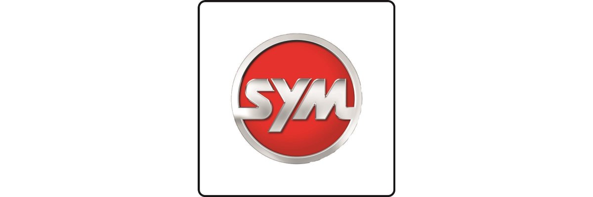 SYM Quad Raider 600 _ year 2007_2014