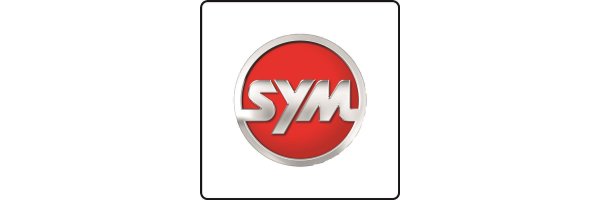 SYM Quad Raider 600 _ année 2007_2014