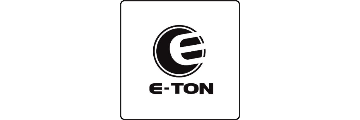 E_Ton VXL 250 ST Vector _ anno 2009_2013