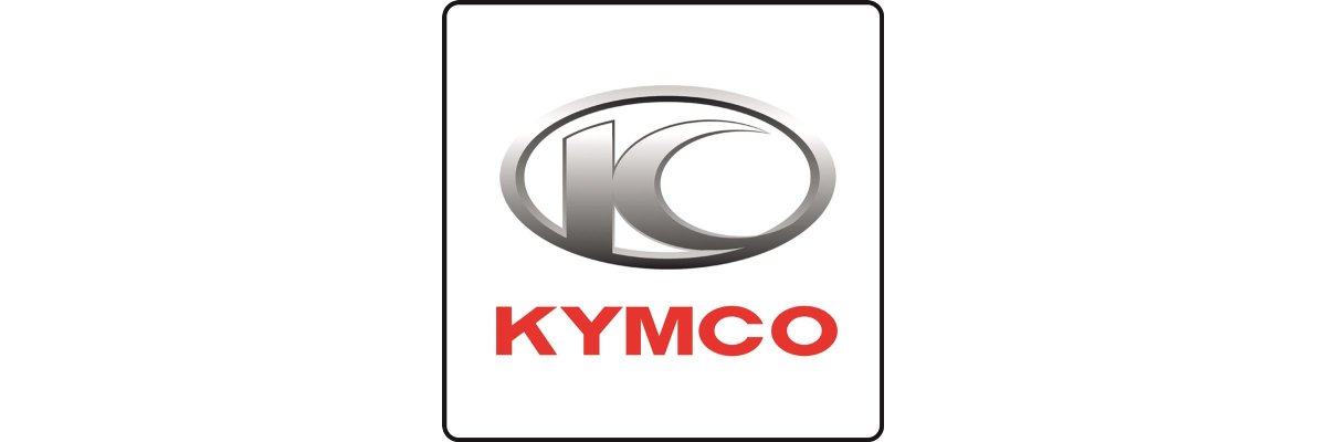Kymco Mongoose 90 S 4T