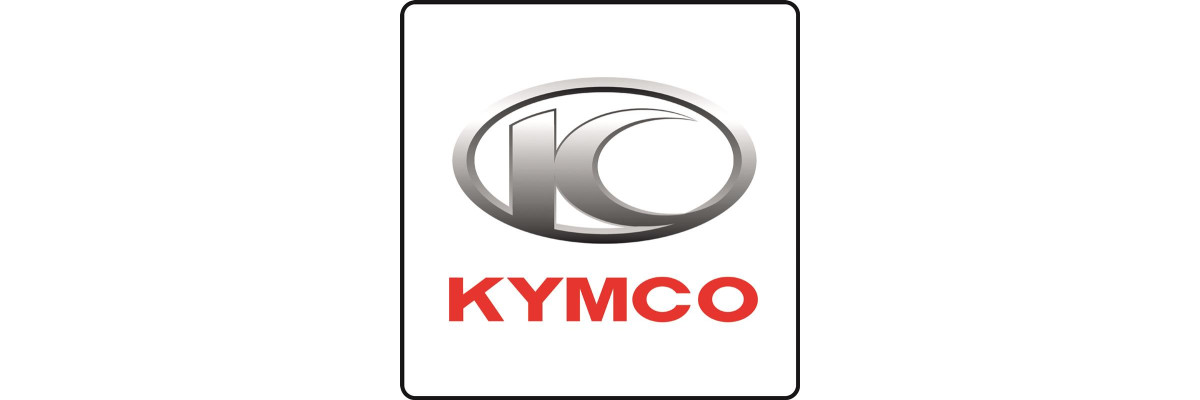 Kymco 250 quad