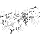 (2) - Guarnizione coperchio motore - Linhai ATV 170 /...