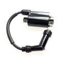 Ignition coil with plug