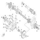 (4) - Getriebe Zahnrad - Linhai CUV 500 / Hytrack Jobber 500