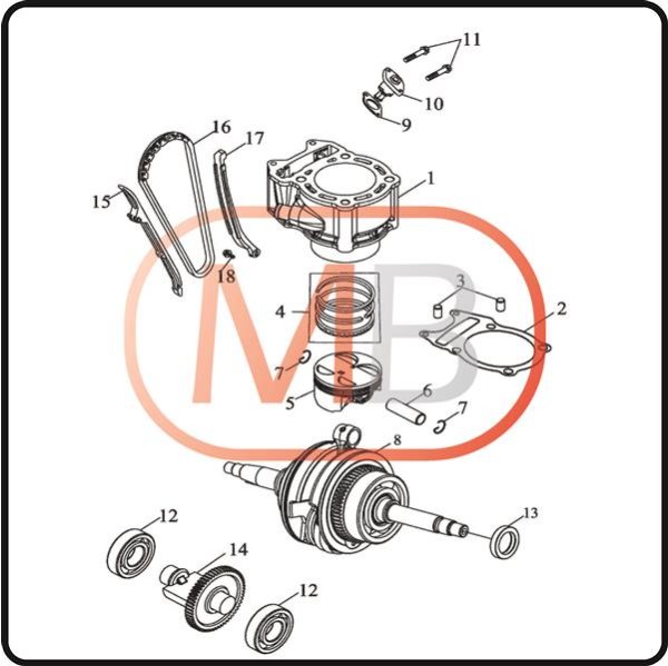 (4) - Set fasce elastiche (ore) - Access motore carburatore da 359 cc