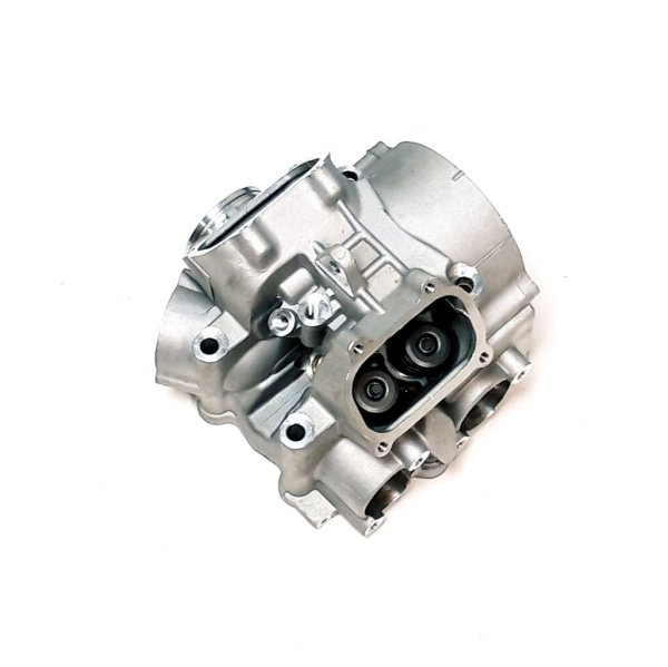 (1) - Zylinderkopf m. Ventilen - Access 608cc Motor