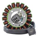 Stator Can Am DS 250 08-14 OEM S31120RCA000