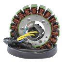 Stator Can Am DS 250 08-14 OEM S31120RCA000