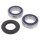 Wheel bearing set front wheel complete with oil seals All Balls 25-1416