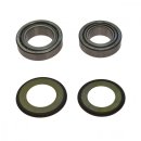 Steering head bearing tapered roller bearing set All...