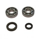 Crankshaft bearing set with oil seals All Balls 24-1003
