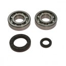 Crankshaft bearing set with oil seals All Balls 24-1004