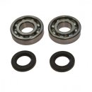 Crankshaft bearing set with oil seals All Balls 24-1011
