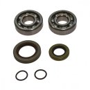 Crankshaft bearing set with oil seals All Balls 24-1103