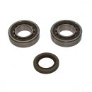 Crankshaft bearing set with oil seals All Balls 24-1106