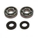 Crankshaft bearing set with oil seals All Balls 24-1062