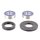 Set cuscinetti ruota anteriore completo di paraolio All Balls 25-1075
