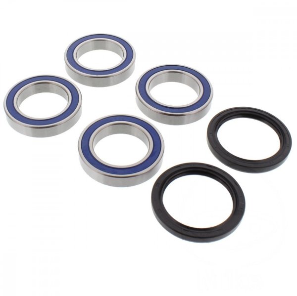 Axle bearing set rear wheel - Dinli 450 - complete with oil seals