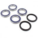 Axle bearing set rear wheel - Dinli 450 - complete with...
